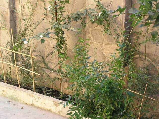 Гостиница Итальянский Дворик Феодосия-11