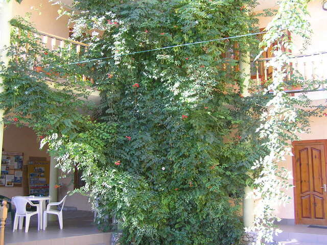 Гостиница Итальянский Дворик Феодосия-46